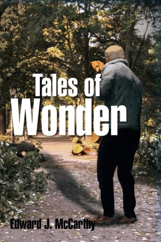 Tales of Wonder av Edward J McCarthy (Paperback)