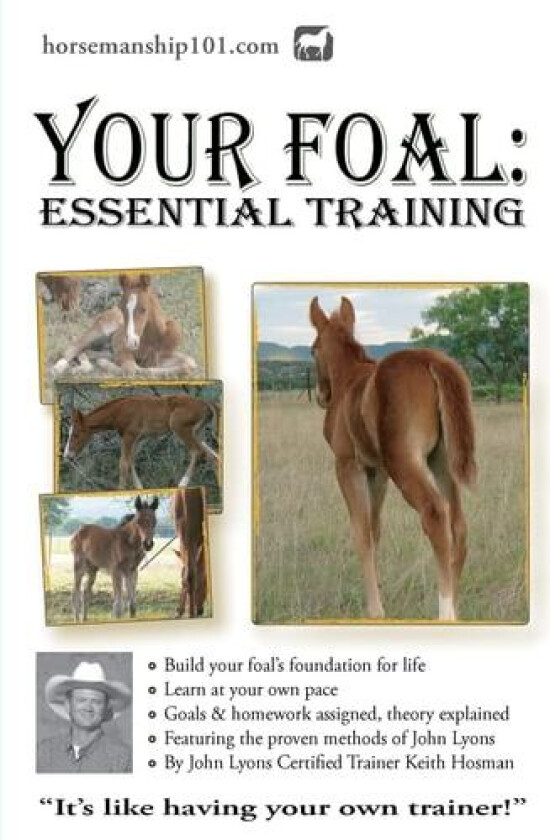Your Foal av Keith Hosman (Paperback)