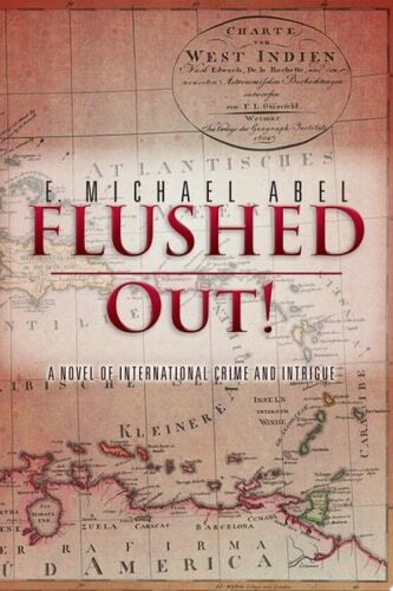 Flushed Out! av E Michael Abel (Paperback)