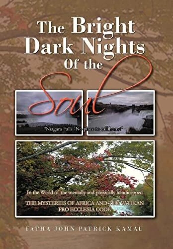 The Bright Dark Nights Of the Soul av Fatha John Patrick Kamau (Hardcover)