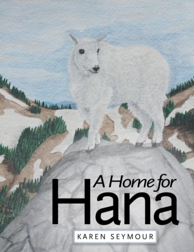 A Home for Hana av Karen Seymour (Paperback)