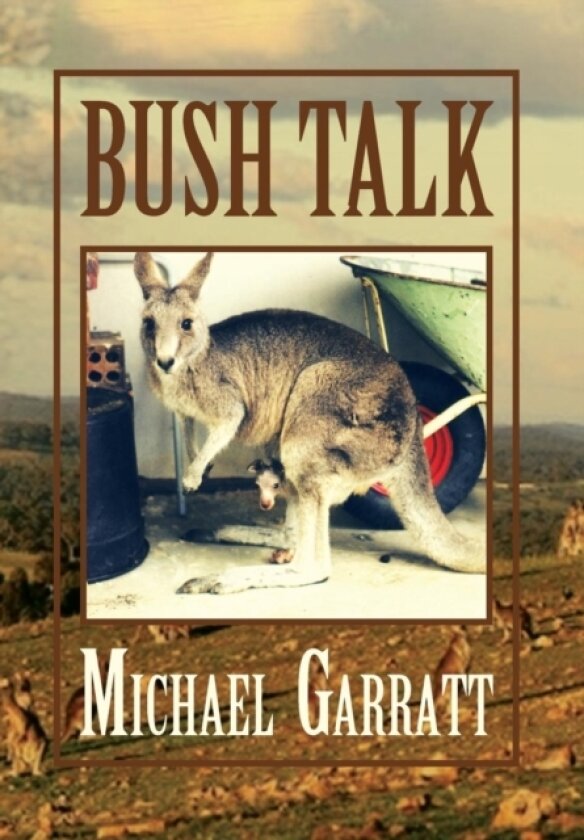 Bush Talk av Michael Garratt (Hardcover)