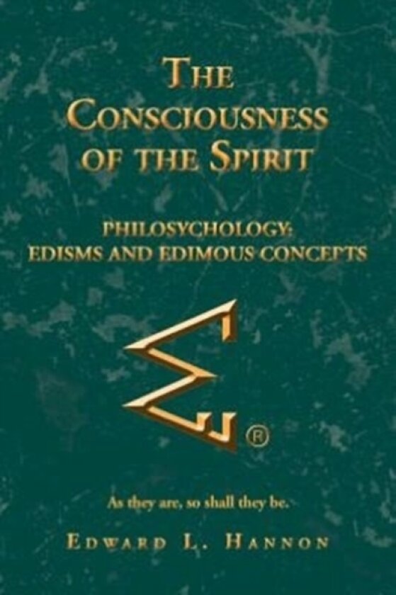 The Consciousness of the Spirit av Edward L Hannon (Paperback)