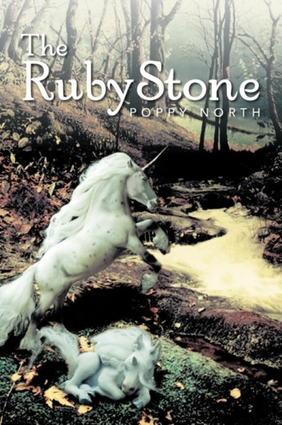 The Ruby Stone av Poppy North (Paperback)