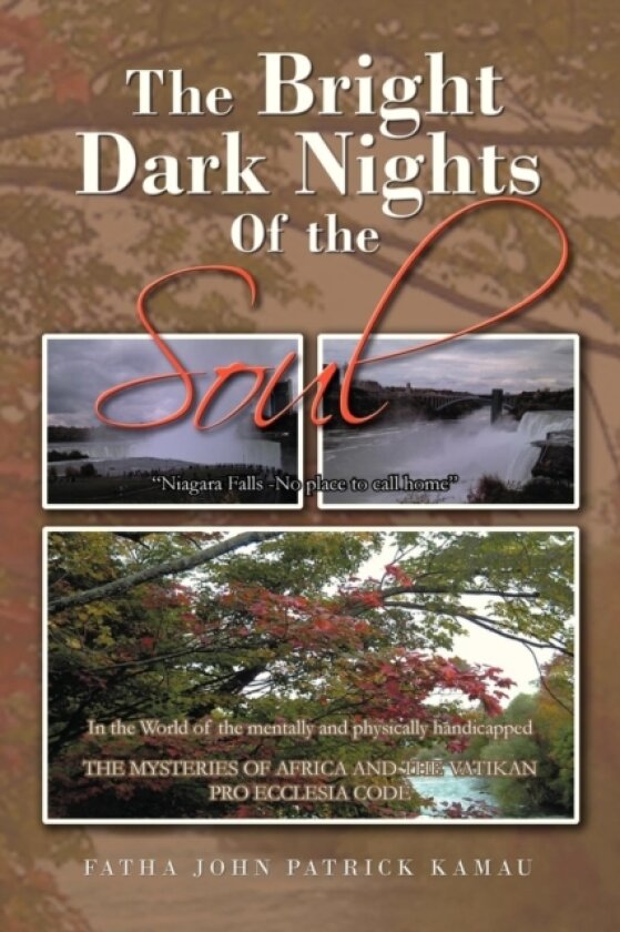 The Bright Dark Nights Of the Soul av Fatha John Patrick Kamau (Paperback)
