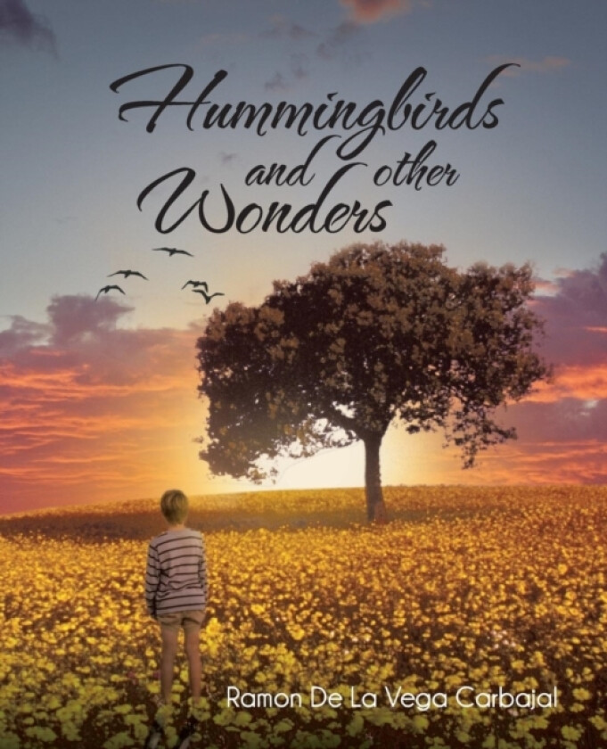 Hummingbirds and Other Wonders av Ramon De La Vega Carbajal (Paperback)