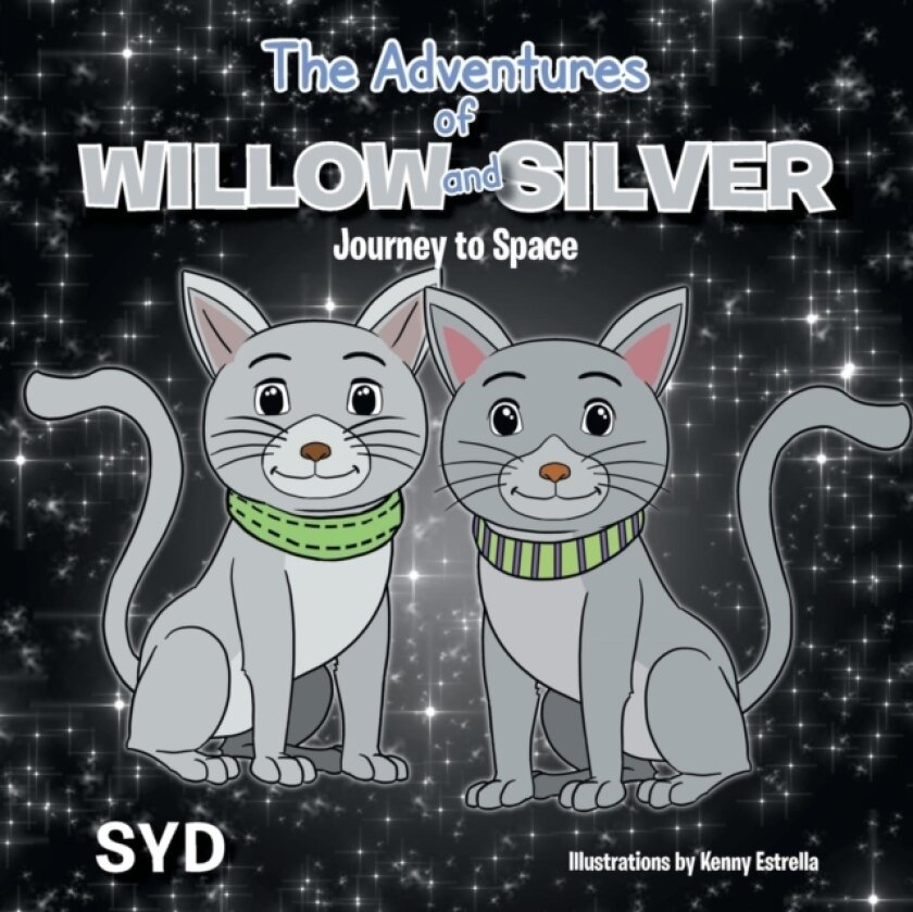 The Adventures of Willow and Silver av Syd (Paperback)
