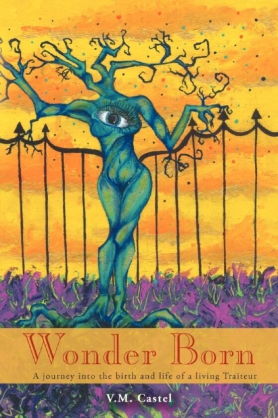 Wonder Born av V M Castel (Paperback)