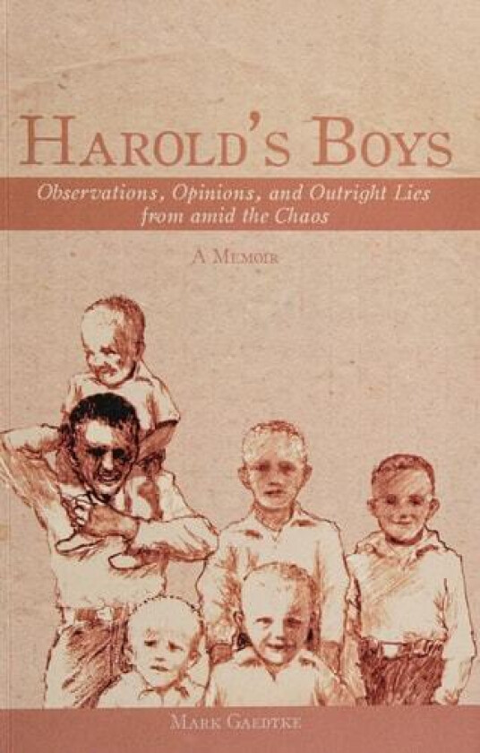 Harold's Boys av Mark Gaedtke (Hardcover)
