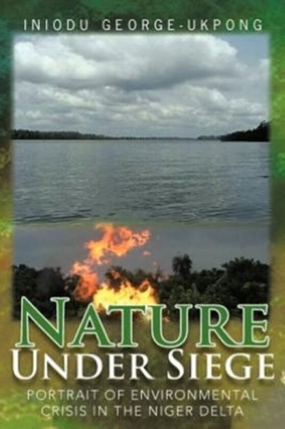 Nature Under Siege av Iniodu George-Ukpong (Paperback)