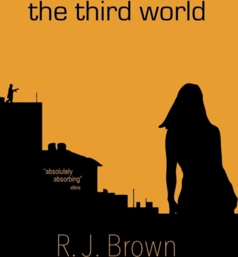 The Third World av R J Brown (Hardcover)
