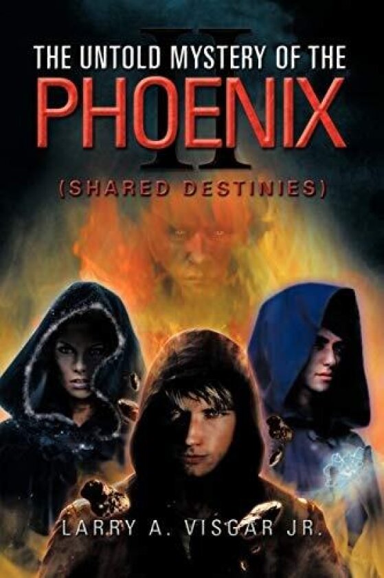 The Untold Mystery of the Phoenix: Shared Destinies av Larry A. Visgar Jr. Jr. (Paperback)