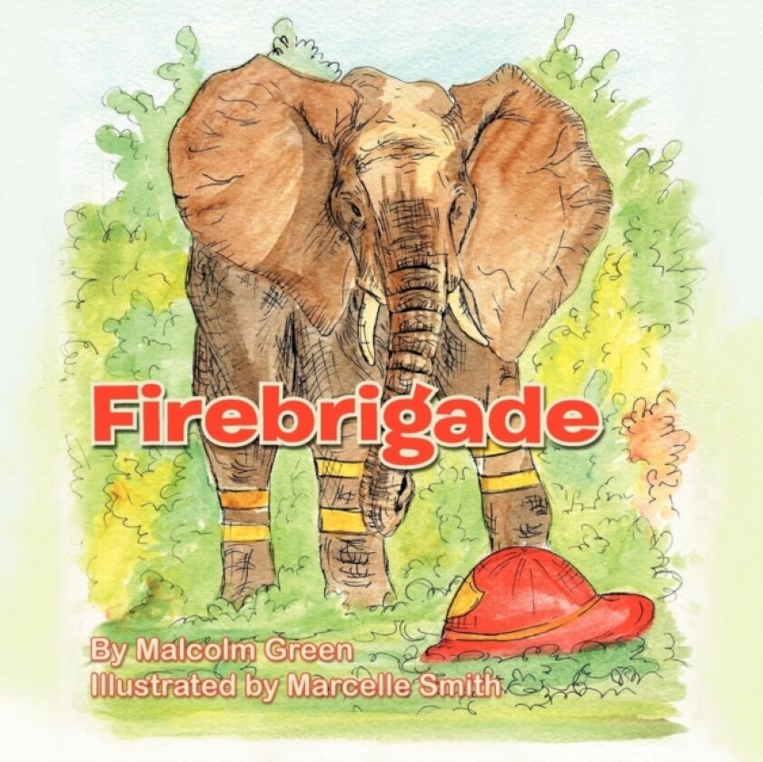 Firebrigade av Malcolm Green (Paperback)