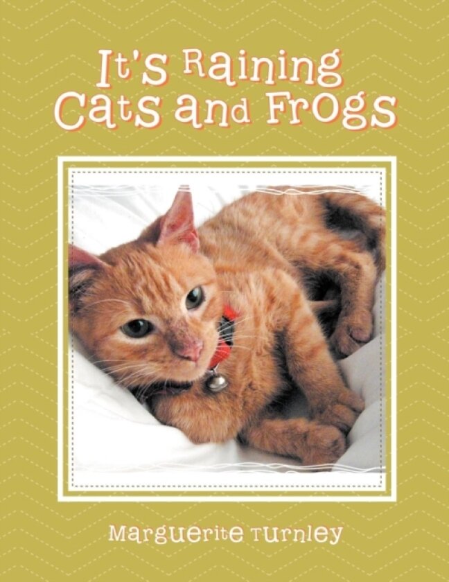 It's Raining Cats and Frogs av Marguerite Turnley (Paperback)