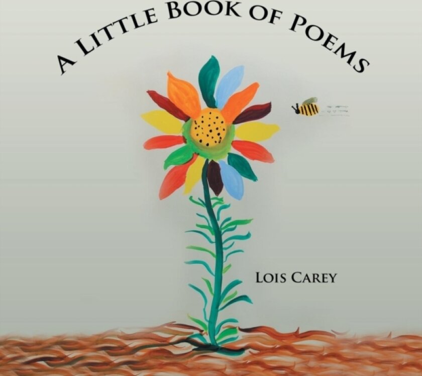 A Little Book of Poems av Lois Carey (Paperback)
