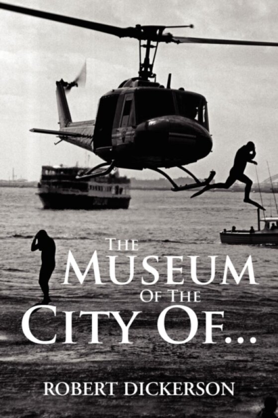 The Museum of the City Of... av Robert Dickerson (Paperback)