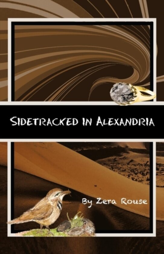 Sidetracked in Alexandria av Zera Rouse (Paperback)
