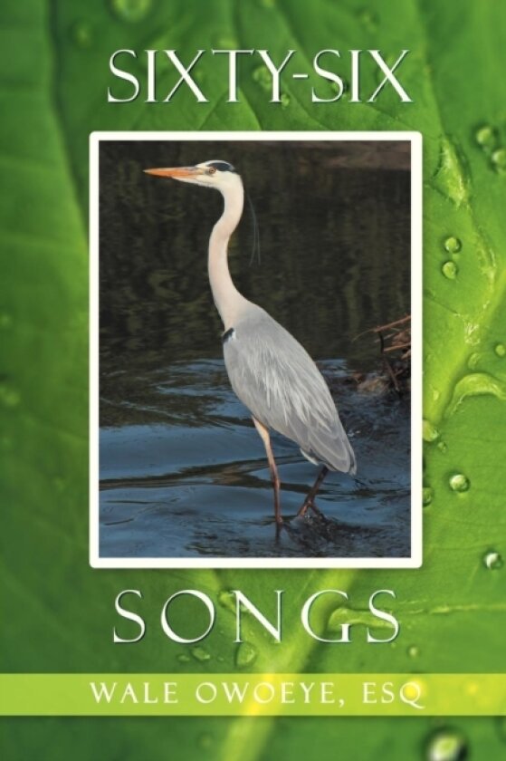 Sixty-Six Songs av Wale Esq Owoeye (Paperback)
