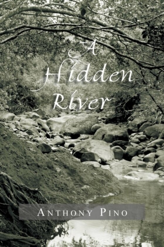 A Hidden River av Anthony Pino (Paperback)