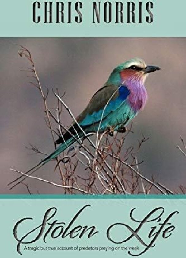 Stolen Life av Chris Norris (Paperback)