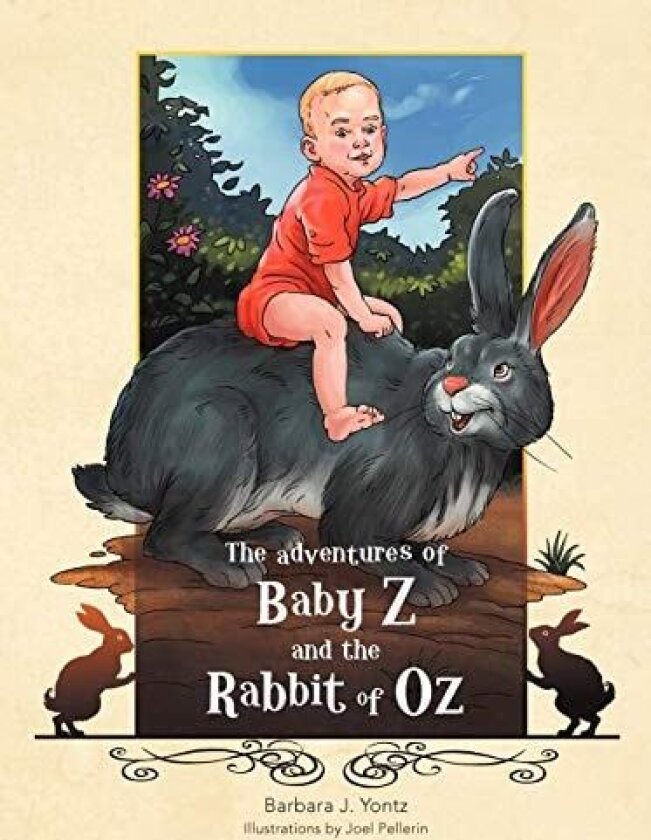The Adventures of Baby Z and the Rabbit of Oz av Barbara J Yontz (Paperback)