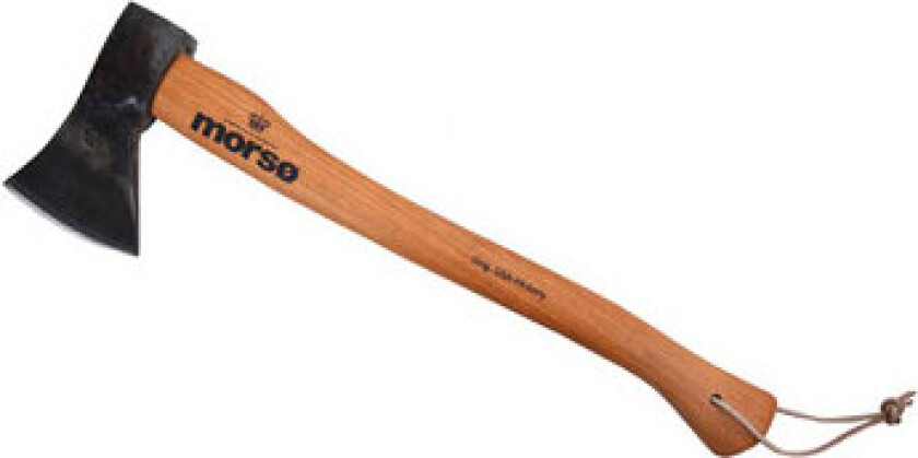 Bilde av Øks m/treskaft