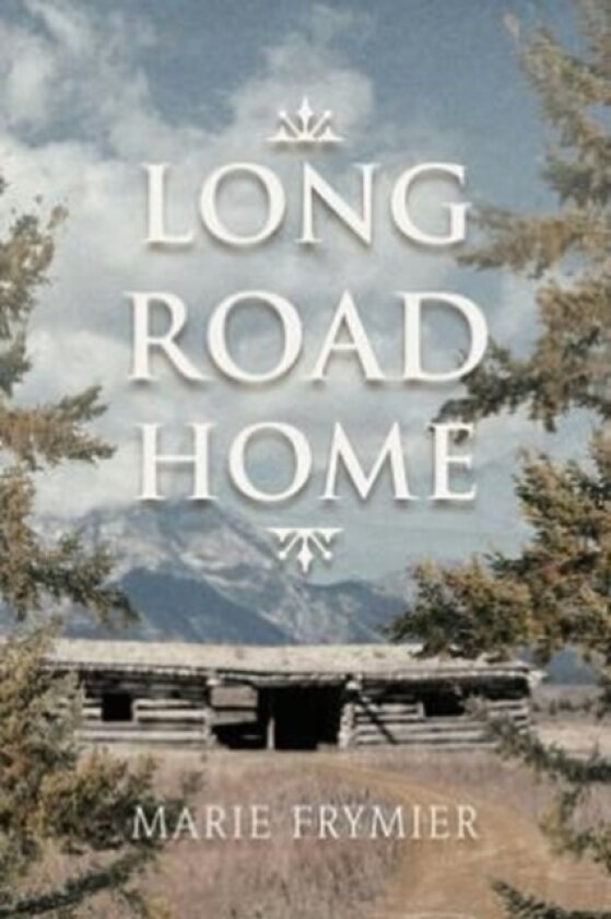 Long Road Home av Marie Frymier (Paperback)