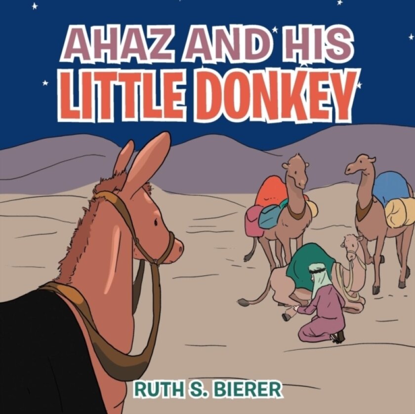 Ahaz and His Little Donkey av Ruth S. Bierer (Paperback)