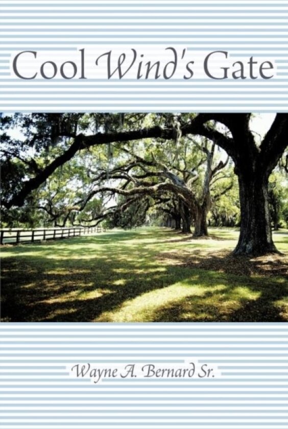 Cool Wind's Gate av Wayne A Bernard Sr (Paperback)
