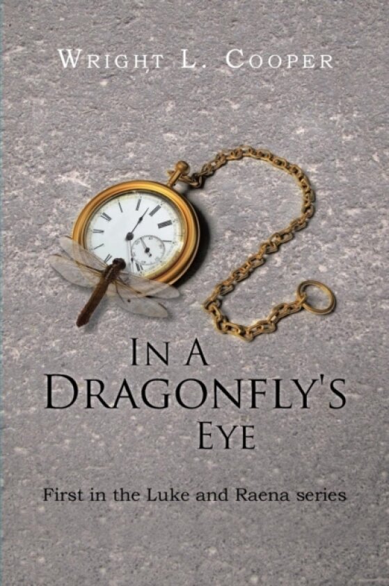 In a Dragonfly's Eye av Wright L Cooper (Paperback)