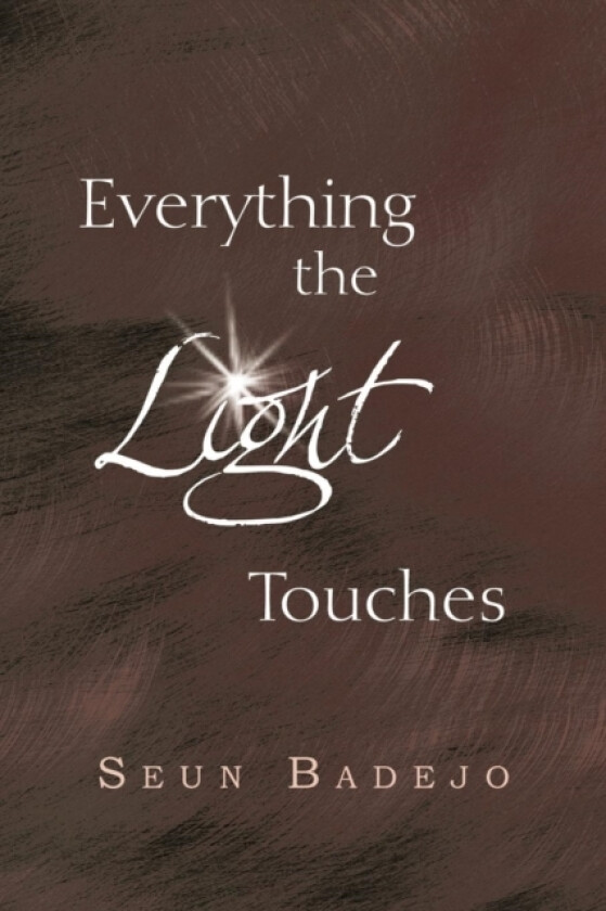 Everything the Light Touches av Seun Badejo (Paperback)