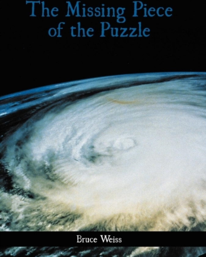 The Missing Piece of the Puzzle av Bruce Weiss (Hardcover)