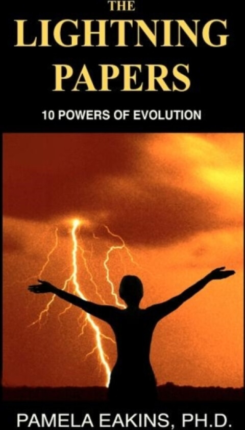 The Lightning Papers av Pamela Eakins (Paperback)