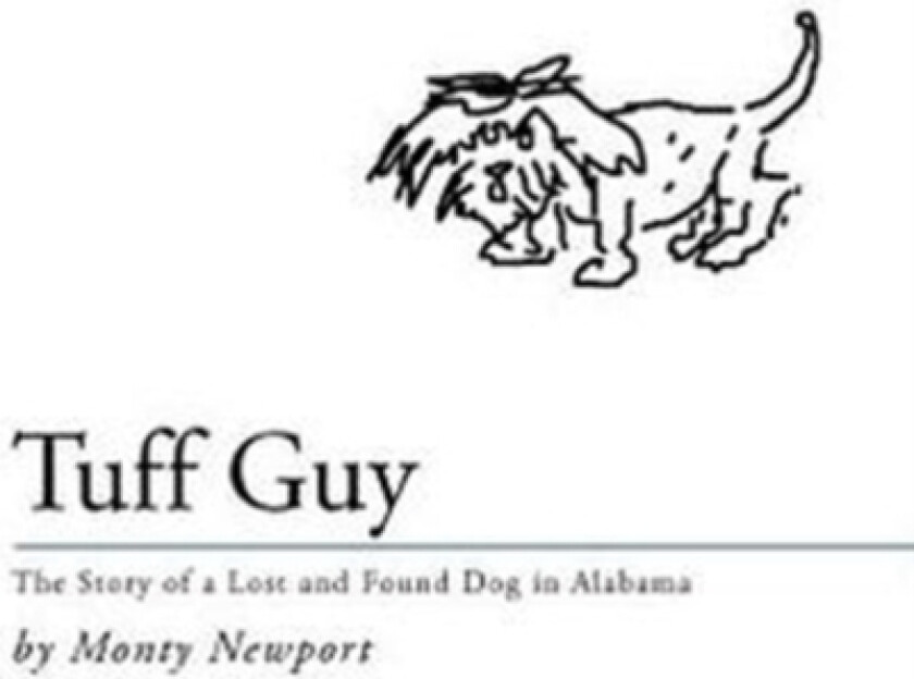 Tuff Guy av Monty Newport (Hardcover)
