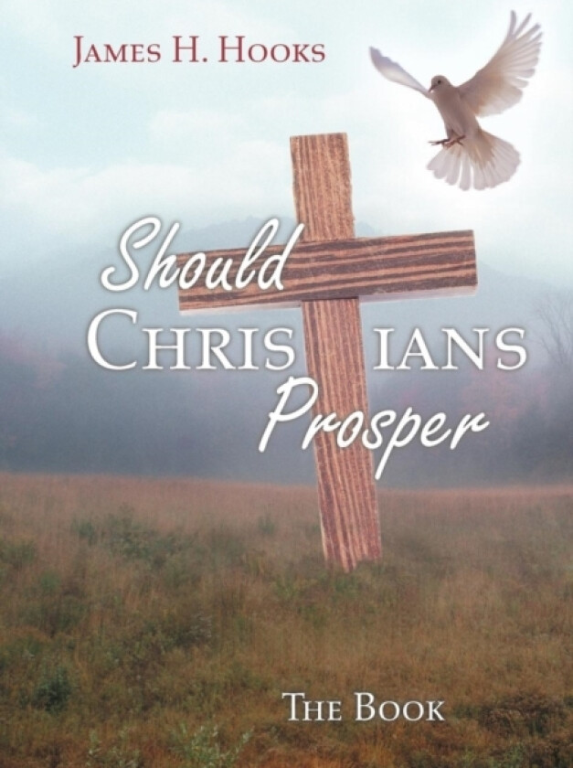 Should Christians Prosper? av Rev James H. Hooks (Hardcover)