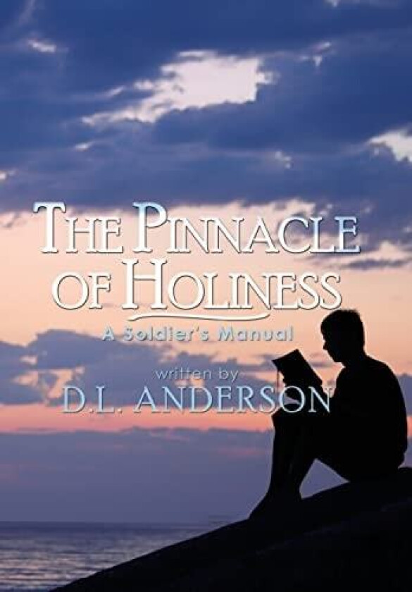 The Pinnacle of Holiness av D.L. Anderson (Hardcover)