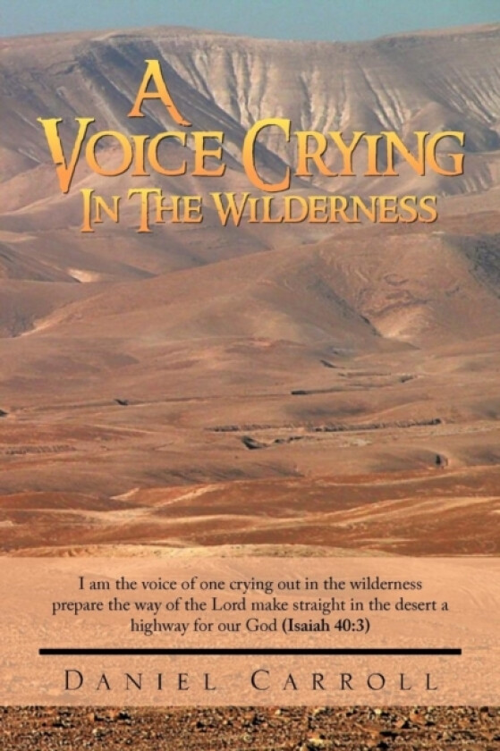 A Voice Crying In The Wilderness av Daniel Carroll (Paperback)