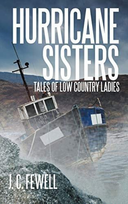 Hurricane Sisters: Tales of Low Country Ladies av J. C. Fewell (Hardcover)