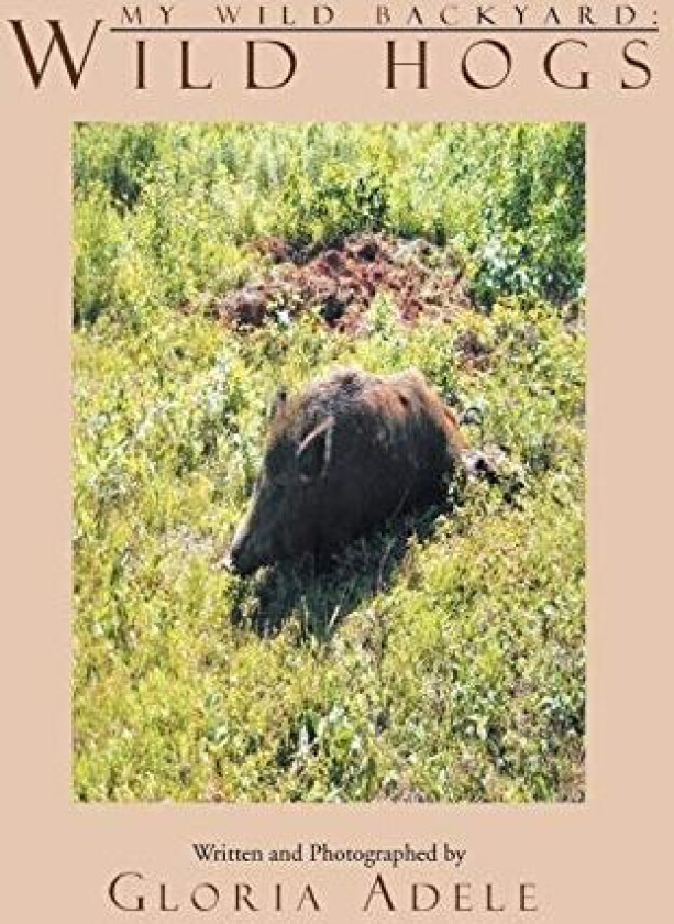 My Wild Backyard av Gloria Adele (Paperback)