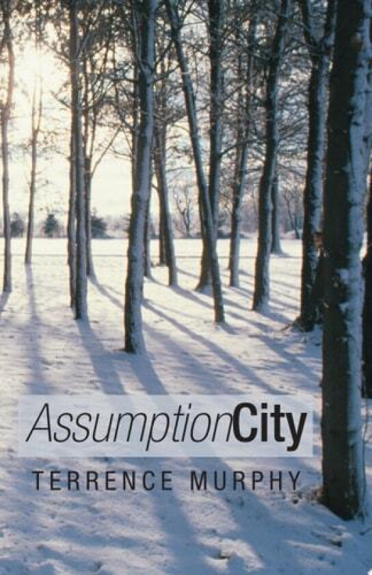 Assumption City av Terrence Murphy (Paperback)