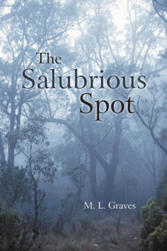 The Salubrious Spot av M L Graves (Paperback)