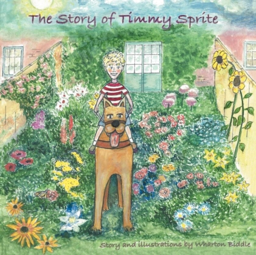 The Story of Timmy Sprite av Wharton Biddle (Paperback)
