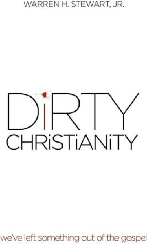 Dirty Christianity av Warren H Jr Stewart (Hardcover)