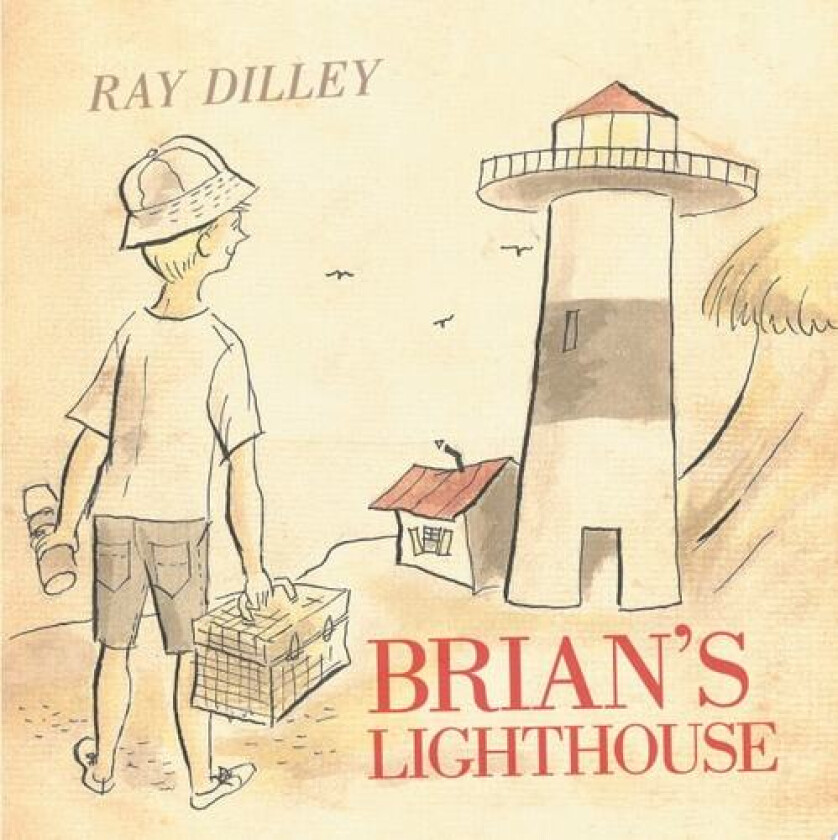 Brian's Lighthouse av Ray Dilley (Paperback)