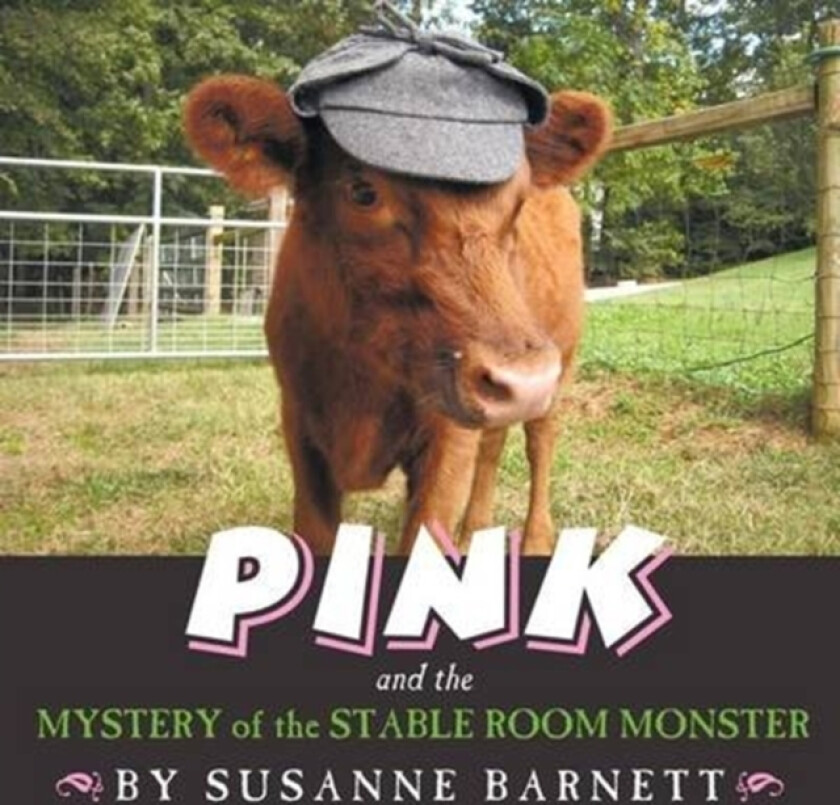 Pink and the Mystery of the Stable Room Monster av Susanne Barnett (Paperback)