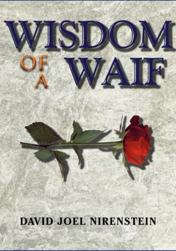 Wisdom of a Waif av David Joel Nirenstein (Paperback)