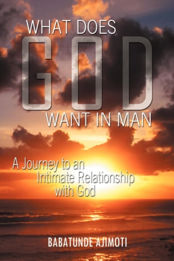 What Does God Want in Man av Babatunde Ajimoti (Paperback)