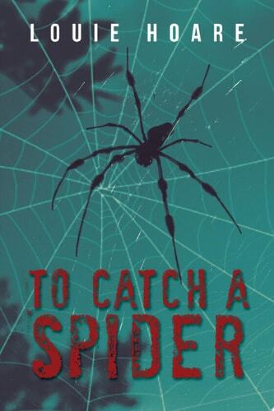 To Catch a Spider av Louie Hoare (Paperback)