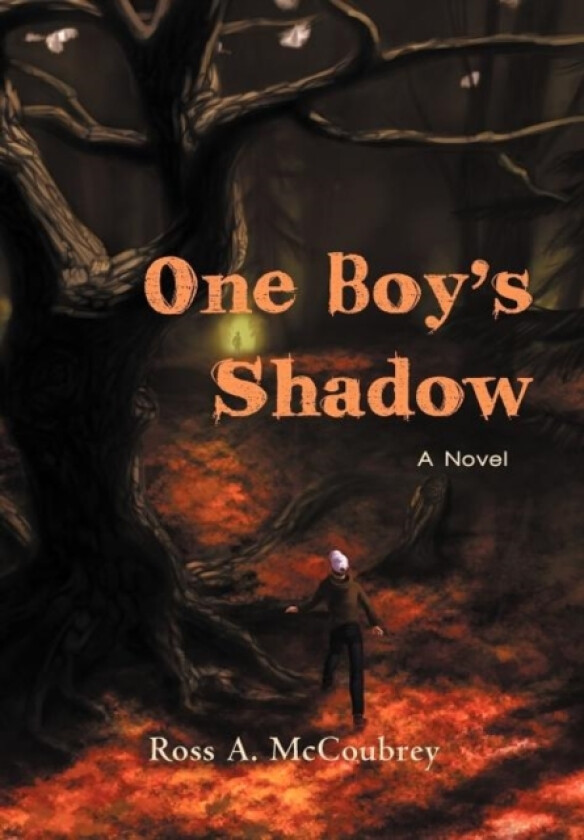 One Boy's Shadow av Ross A McCoubrey (Hardcover)