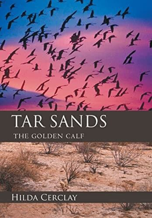 Tar Sands av Hilda Cerclay (Hardcover)
